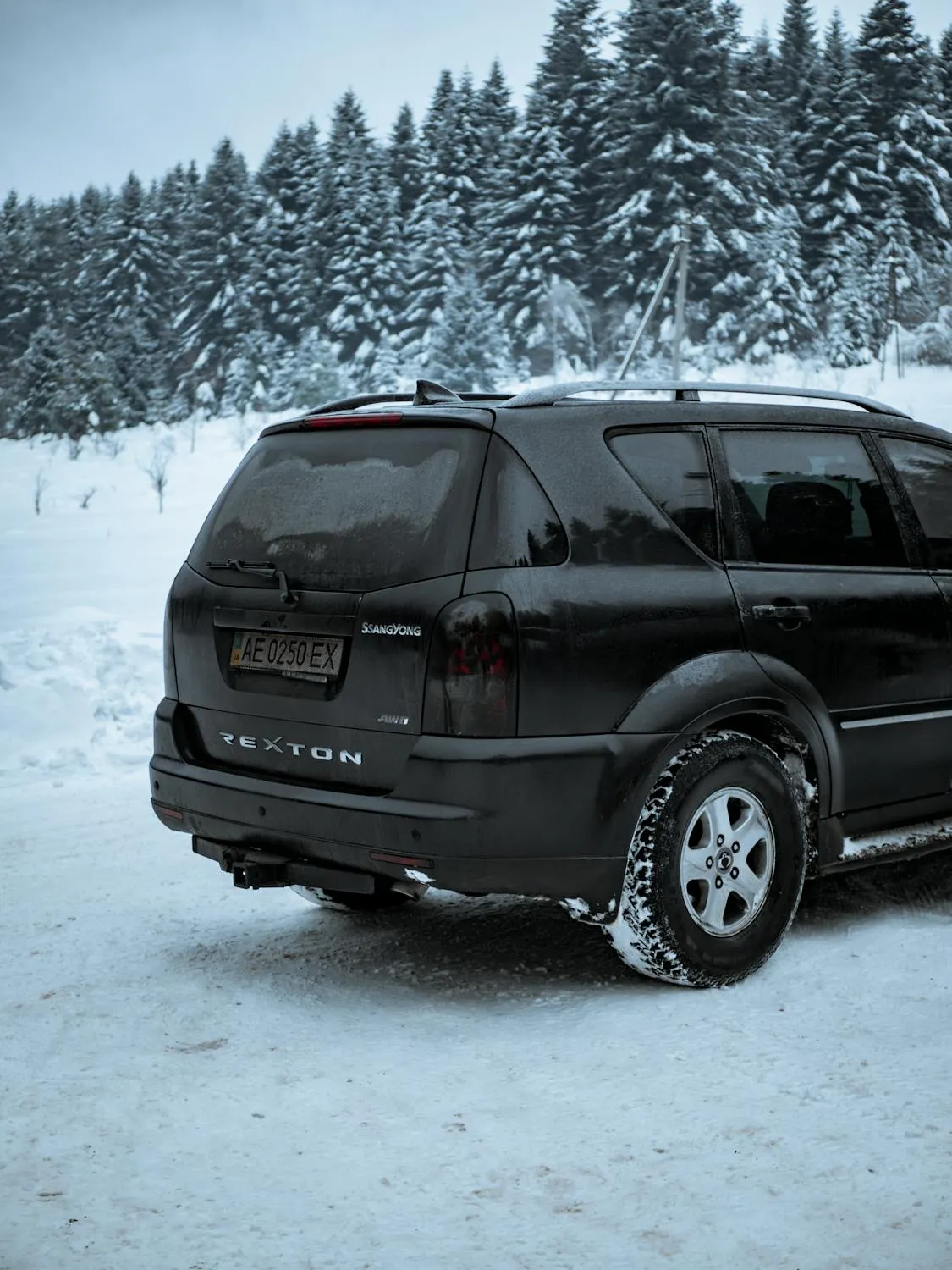 reprogrammation moteur Ssangyong